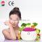 Mask Maker DIY fruits and vegetables face mask at home