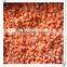 frozen sweet corn kermel