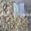 1kg 500g Vacuum packed peeled garlic cloves