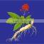 organic ginseng tea