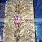 Frozen Shrimp Vannamei White Shrimp HLSO with good price