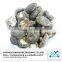 Export dried mushroom