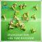 Professional manufacturer brass bolt and nut in JS