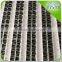Multi-Span Commercial Greenhouse thermal screen shade screen