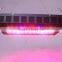 designer goods from twilight group china cree led grow light 2016 looking for exclusive distributor