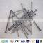 BWG6-20 bright common nail for construction and wooden cases