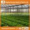 Heracles Versatile Multi Span Poly Film Greenhouse for Hydroponic Growing Systems of NFT And Soilless Systems