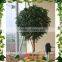 Located in china Hotel hall high simulation competitive price all kinds of 10ft high bonsai banyan tree plastic
