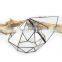 terrarium geometric glass terrarium wholesale