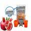 Hot selling pomegranate orange cold press slow juicer