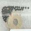 Original High Quality Common Rail Injector Steel Ball F00VC05008