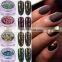 High Quality Competitive Price Shining Chameleon Brocade Powder For Nails