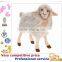 2015 Cute Plush Sheep Toys, plush teddy sheep