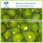 Sinocharm BRC A Certified Organic Nutrient-rich IQF Frozen Whole Fig
