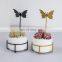 Home Decorative Glazed Ceramic Succulent Planter Plant Pot Home Decor Flower Pot With Butterfly Iron Flower Frame