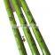 telescopic pulley fish rod  carp fishing rod tools unbranded fly fishing rods