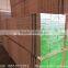 Shandong Poplar LVL Scaffold Plywood