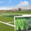 Playground 50mm artificial soccer fields grass ,soccer grass carpet