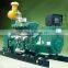 Natural Gas Generator With Cummins Brand