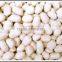 Blanched peanut kernels new crop