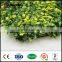 artificial boxwood leaf plastic leaf fence