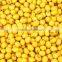 10TPD soybean oil refining equipment