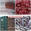 red skin peanuts 50/60