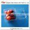 Plastic Fruit packaging container tray disposable plastic blueberry packaging container