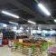 22W 50CM LED Corridor Light