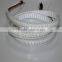 CE ROHS UL certificate emitting color ws2812b 144leds rgb led strip light                        
                                                Quality Choice