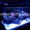 AQL-3S Series Full Spectrum 16"/24"/36"/48" Programmable Reef Marine Lighting