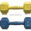Develop Strength Cast Iron Inside Neoprene 5kg Dumbbell Set