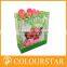 Ornament Paper Gift Bag With Ribbon