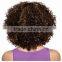 High Quality Wigs Curly for Women African