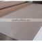 Linyi Best Decorative Fancy Plywood for Furniture
