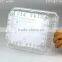 1000g Cherry disposable Plastic Fruit Container Supplier