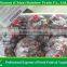 fresh Red Sweet seeded grape fruit export from China