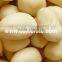 New Crop Roasted Blanched Peanuts Kernels China
