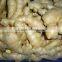 2014Organic fresh ginger