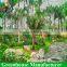 High Quality Aquaponic Commercial Multi-span Greenhouse
