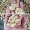 Textured Soya Protein Extruder Making Machine