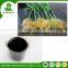 Top quality rooting agent mycorrhizae for sale