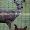 Rope Mesh(knotted mesh and Ferruled Mesh),Weave Wire Mesh Type and Woven Technique Flexible Mesh Bird Netting