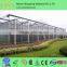 greenhouse vegetable NFT hydroponic systems for sale