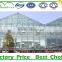 Multi-Span Commercial Glass Greenhouse