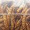 Pet Food Factory Birds Food Meal worm