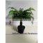 SAS201606 Cheap Artificial Green Plant,China Supplier Foliage Plant Bonsai