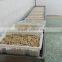 Frozen Boiled Yellow Clam Meat Skewer