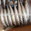 Frozen Fish Frozen Pacific Mackerel