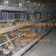 Tanzania Poultry Farm Chicken Shed A Frame Automatic Pullet Cage & Small Chicken Cage Equipment with Drinking & Feeding System